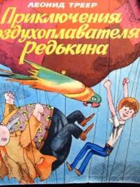 Леонид Треер Приключения воздухоплавателя Редькина обложка книги