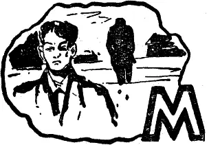 Мы разделили Озерки на три неравные части мне досталась главная улица - фото 13