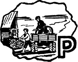 Рано или поздно это должно было случиться Мучительный момент наступил Я знал - фото 29