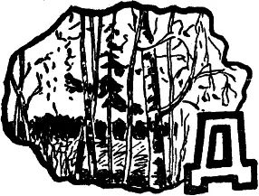 Давно убран хлеб с полей давно опали последние листья в лесу Место для - фото 30