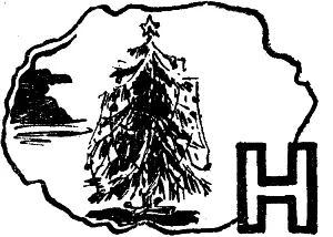 Новый год решили встречать у Нади Отец и мать ее уехали к бабушке Тридцать - фото 33