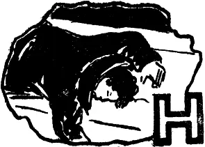 Надя уехала Я так и не успел поговорить с ней Вернее она так и не захотела - фото 37