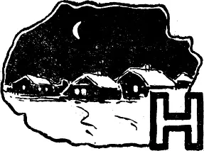 Ночь За окном ярколунная пронзительная тишина В кухне дремотно мурлычет - фото 38