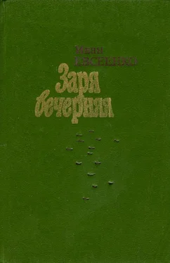 Иван Евсеенко Заря вечерняя обложка книги