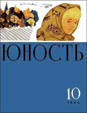 Владимир Амлинский Тучи над городом встали обложка книги