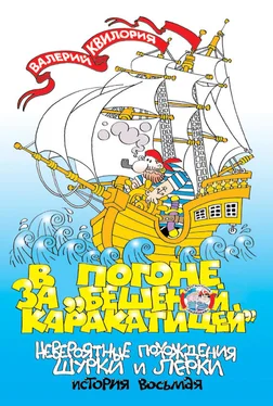 Валерий Квилория В погоне за «Бешеной Каракатицей» обложка книги