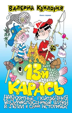 Валерий Квилория 13-й карась обложка книги