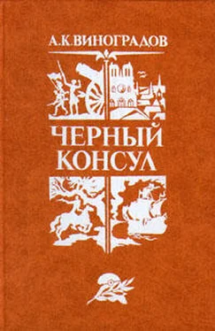 Анатолий Виноградов Черный консул обложка книги