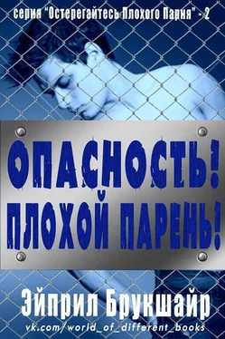 ната Danger обложка книги