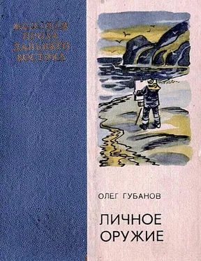 Олег Губанов Личное оружие обложка книги