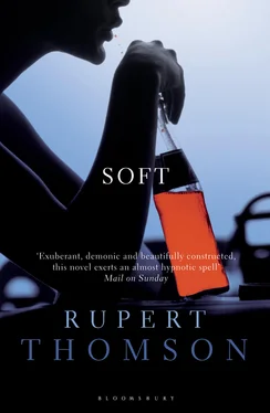 Rupert Thomson Soft обложка книги