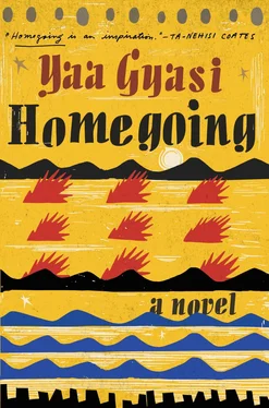 Yaa Gyasi Homegoing обложка книги