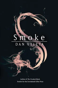 Dan Vyleta Smoke обложка книги