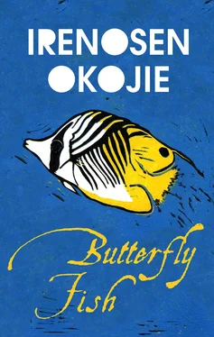 Irenosen Okojie Butterfly Fish обложка книги