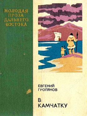 Евгений Гропянов В Камчатку обложка книги