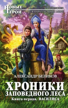 Александр Беликов Василиса обложка книги