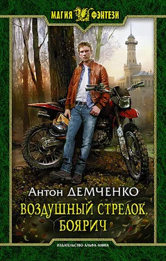 Антон Демченко Воздушный стрелок. Боярич обложка книги