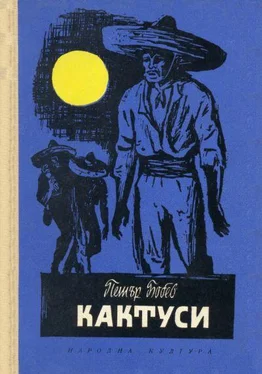 Петър Бобев Кактуси (Разкази за юноши) обложка книги