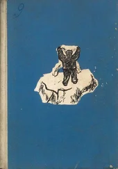 Петър Бобев - Самотникът от ледената пустиня