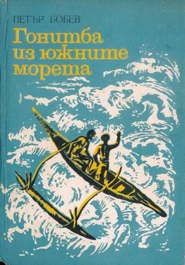 Петър Бобев Гонитба из южните морета обложка книги