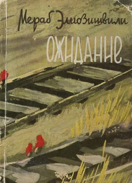 Мераб Элиозишвили Ожидание обложка книги