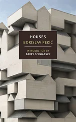 Borislav Pekic - Houses