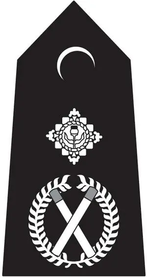 Deputy Chief Constable Chief Constable Acknowledgements The idea for this - фото 10