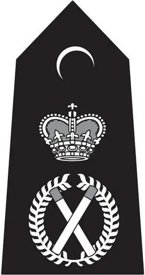 Chief Constable Acknowledgements The idea for this book came from a chance - фото 11