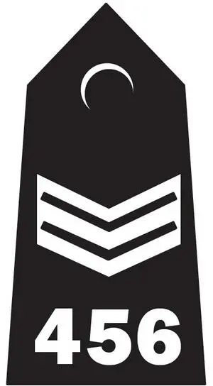 Police Sergeant Inspector Chief Inspector - фото 4