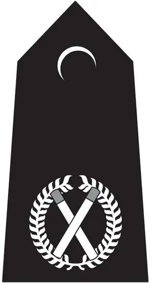 Assistant Chief Constable Deputy Chief Constable Chief Constable - фото 9
