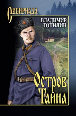 Владимир Топилин Остров Тайна обложка книги