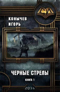 Игорь Конычев Черные стрелы (СИ) обложка книги