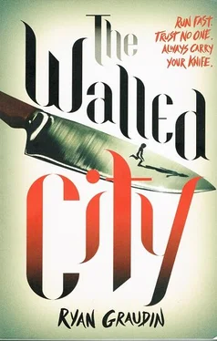 Ryan Graudin The Walled City обложка книги