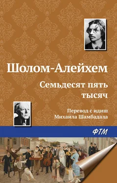 Шолом-Алейхем Семьдесят пять тысяч обложка книги