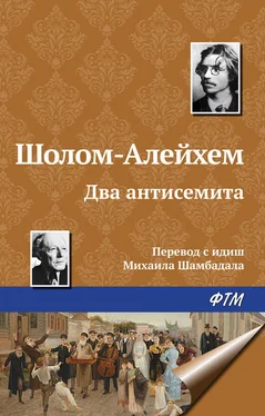 Шолом-Алейхем Два антисемита обложка книги