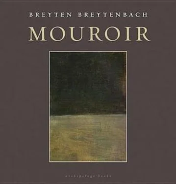 Breyten Breytenbach Mouroir обложка книги