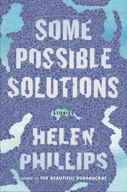 Helen Phillips Some Possible Solutions обложка книги