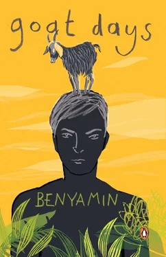 Benyamin Goat Days обложка книги