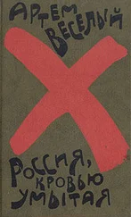 Артем Веселый - Россия, кровью умытая