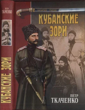 Пётр Ткаченко Кубанские зори обложка книги