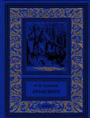 Николай Соколов - Ариасвати