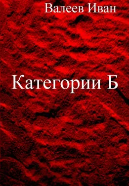 Иван Валеев Категории Б обложка книги