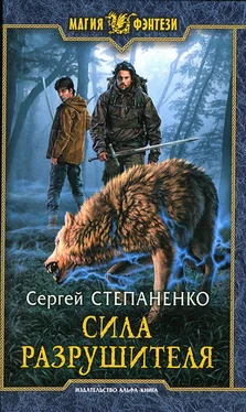 Сергей Степаненко Сила Разрушителя обложка книги