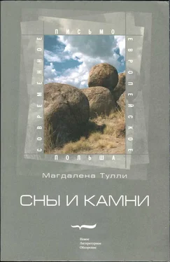 Магдалена Тулли Сны и камни обложка книги