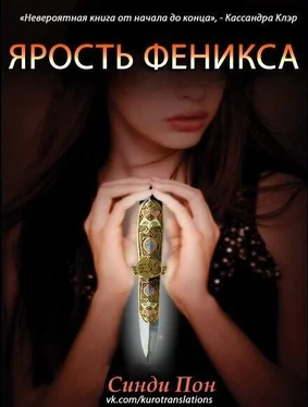 Синди Пон Ярость феникса (ЛП) обложка книги