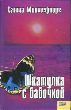 Санта Монтефиоре Шкатулка с бабочкой обложка книги