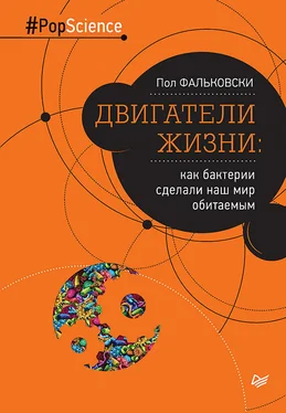 Пол Фальковски Двигатели жизни. Как бактерии сделали наш мир обитаемым обложка книги