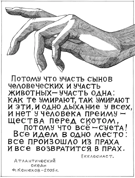Может я много пишу но немного выражаю сущностного Вот и ещё одна сложность - фото 18