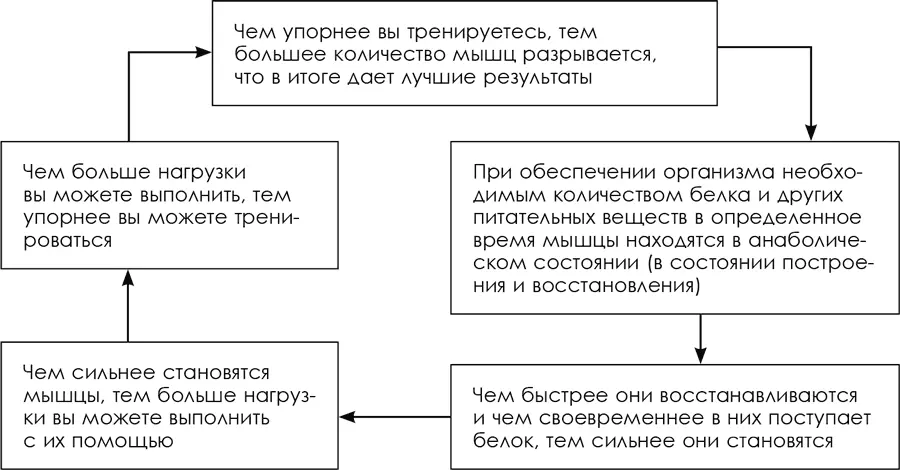 Пищевые добавки подведем итог Так как мое образование продолжалось я начал - фото 44