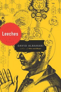 David Albahari Leeches обложка книги